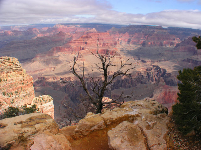Grand Canyon one star review, Ehh